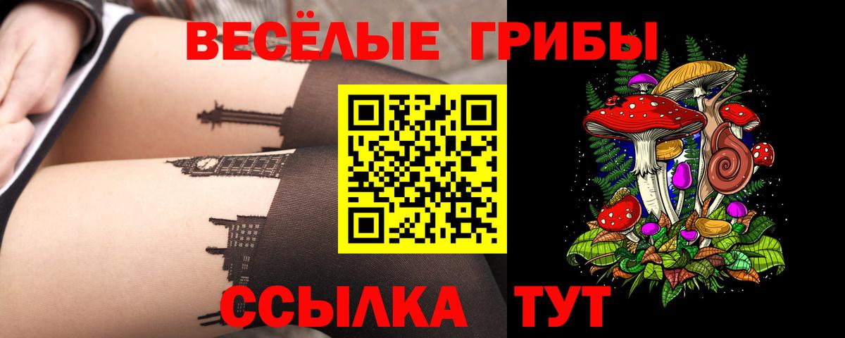 Галлюциногенные грибы Cubensis Шали